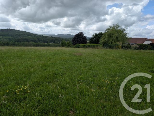 Terrain &agrave; vendre - 3000 m2 - Courlans - 39 - FRANCHE-COMTE