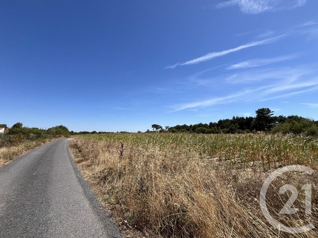 terrain - GIVRAND - 85