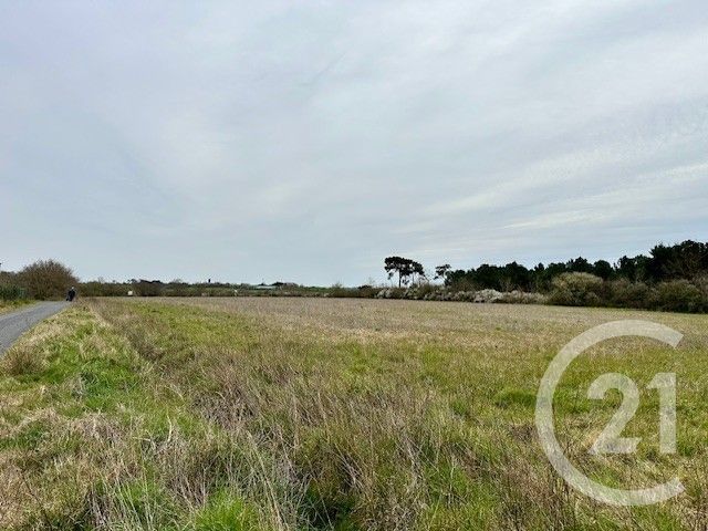 terrain - GIVRAND - 85