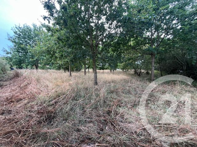 Terrain &agrave; vendre - 3083 m2 - Le Fenouiller - 85 - PAYS-DE-LOIRE