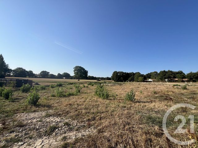 Terrain &agrave; vendre - 311 m2 - Coex - 85 - PAYS-DE-LOIRE