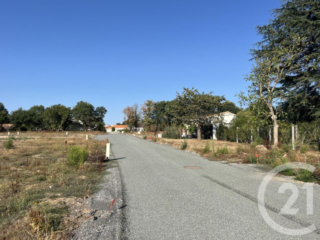 Terrain &agrave; vendre - 311 m2 - Coex - 85 - PAYS-DE-LOIRE