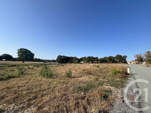 Terrain &agrave; vendre - 311 m2 - Coex - 85 - PAYS-DE-LOIRE