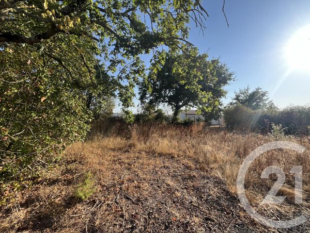 Terrain &agrave; vendre - 597 m2 - Commequiers - 85 - PAYS-DE-LOIRE