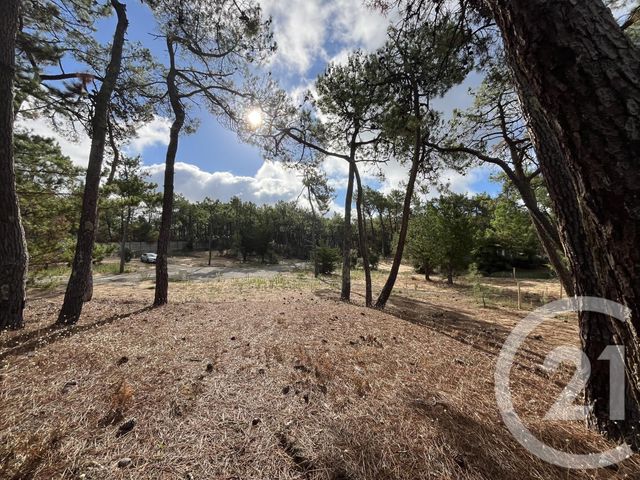 maison - ST HILAIRE DE RIEZ - 85