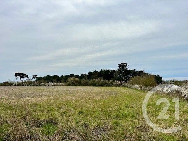 Terrain à vendre - 551 m2 - Givrand - 85 - PAYS-DE-LOIRE