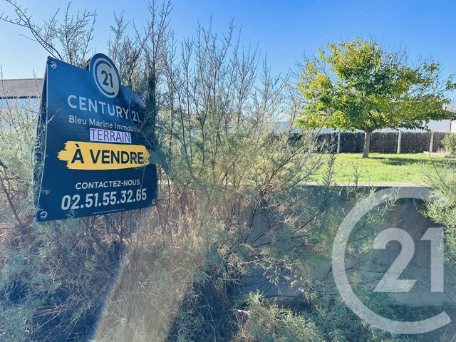 terrain - ST GILLES CROIX DE VIE - 85