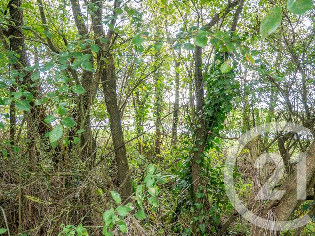 Terrain à vendre - 839 m2 - L Ile D Olonne - 85 - PAYS-DE-LOIRE