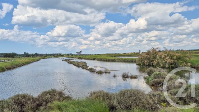 Terrain à vendre - 12025 m2 - L Ile D Olonne - 85 - PAYS-DE-LOIRE