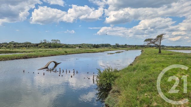 Terrain à vendre - 12025 m2 - L Ile D Olonne - 85 - PAYS-DE-LOIRE