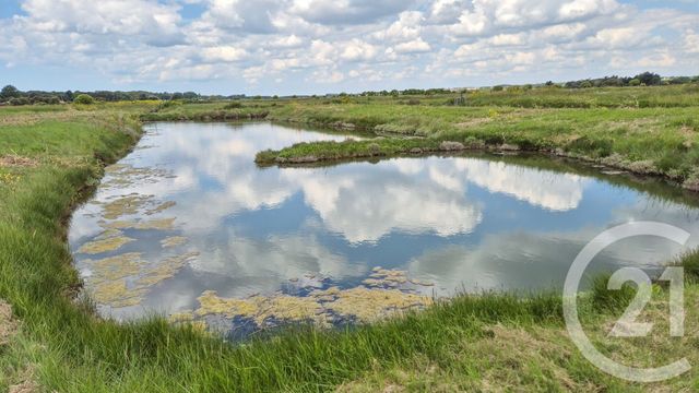 Terrain à vendre - 12025 m2 - L Ile D Olonne - 85 - PAYS-DE-LOIRE
