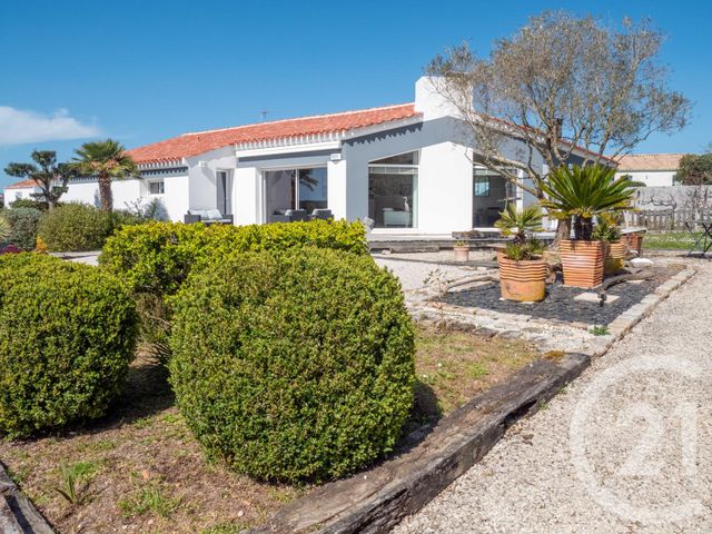maison - L ILE D OLONNE - 85