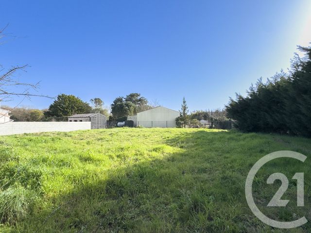 terrain - CHATEAU D OLONNE - 85