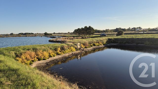 Terrain à vendre - 39590 m2 - Olonne Sur Mer - 85 - PAYS-DE-LOIRE