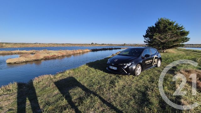 terrain - OLONNE SUR MER - 85