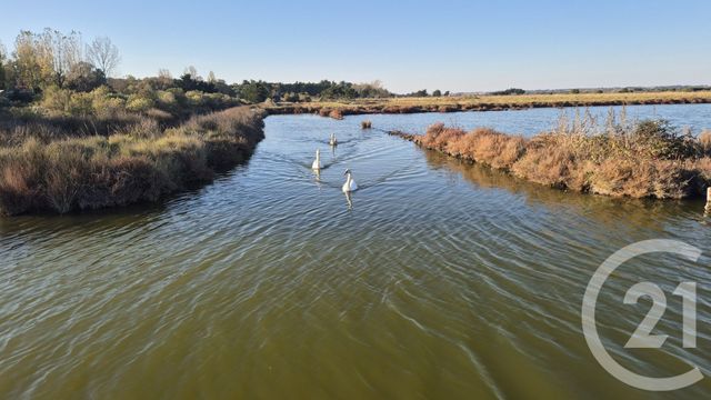 Terrain à vendre - 39590 m2 - Olonne Sur Mer - 85 - PAYS-DE-LOIRE