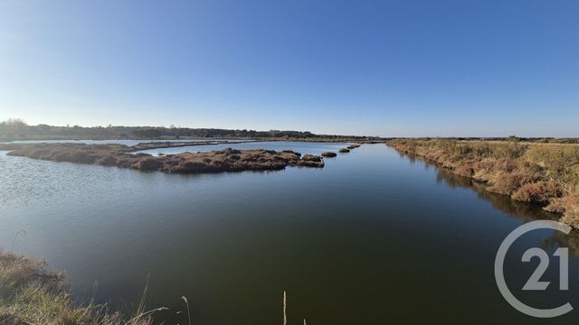 Terrain à vendre - 39590 m2 - Olonne Sur Mer - 85 - PAYS-DE-LOIRE