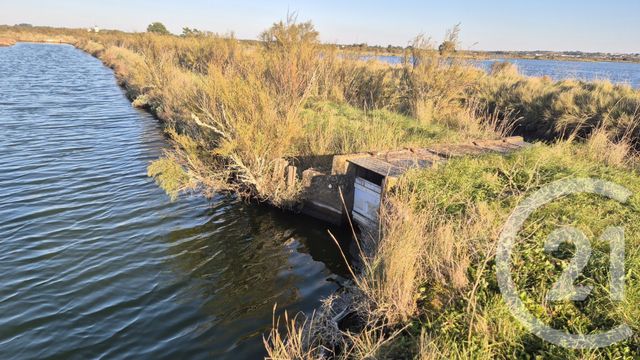 Terrain à vendre - 39590 m2 - Olonne Sur Mer - 85 - PAYS-DE-LOIRE