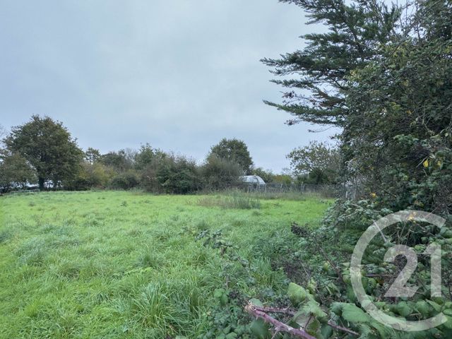 terrain - ST MATHURIN - 85