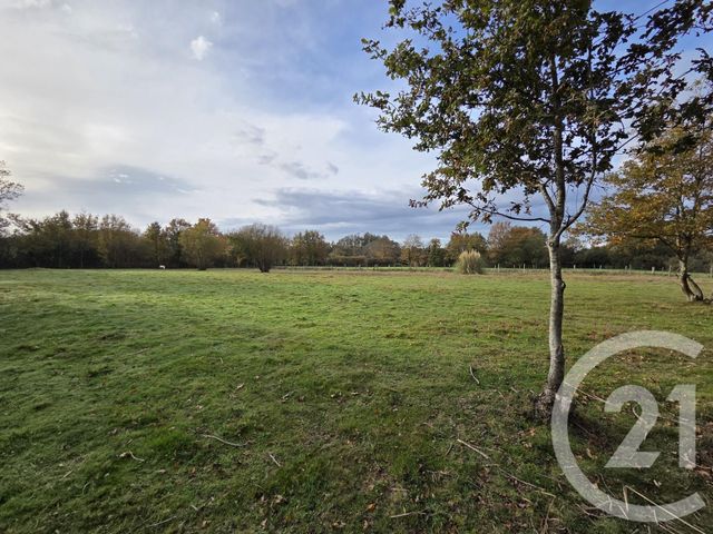 terrain - ST GEORGES DE POINTINDOUX - 85