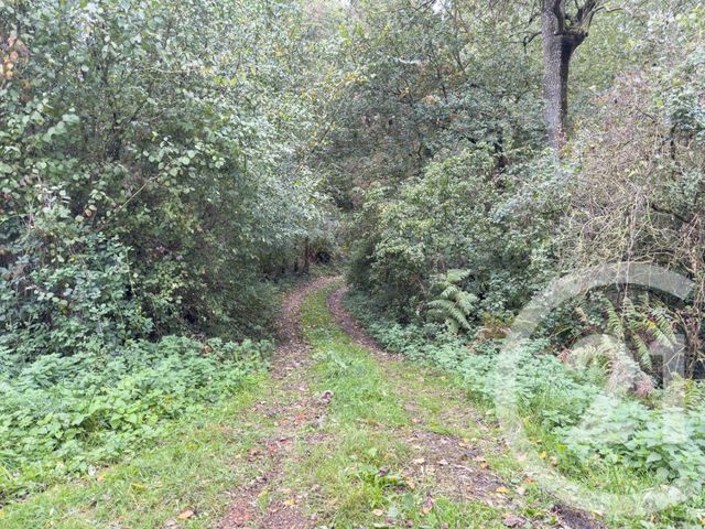 Terrain à vendre - 2600 m2 - St Mathurin - 85 - PAYS-DE-LOIRE