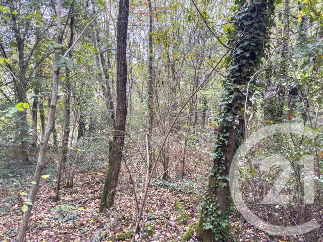 Terrain à vendre - 2600 m2 - St Mathurin - 85 - PAYS-DE-LOIRE