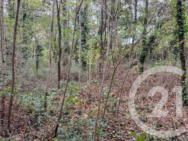 Terrain à vendre - 2600 m2 - St Mathurin - 85 - PAYS-DE-LOIRE