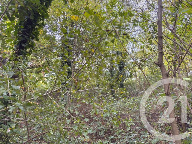 terrain - ST MATHURIN - 85