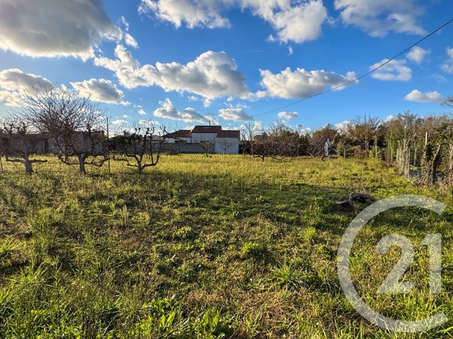 terrain - OLONNE SUR MER - 85
