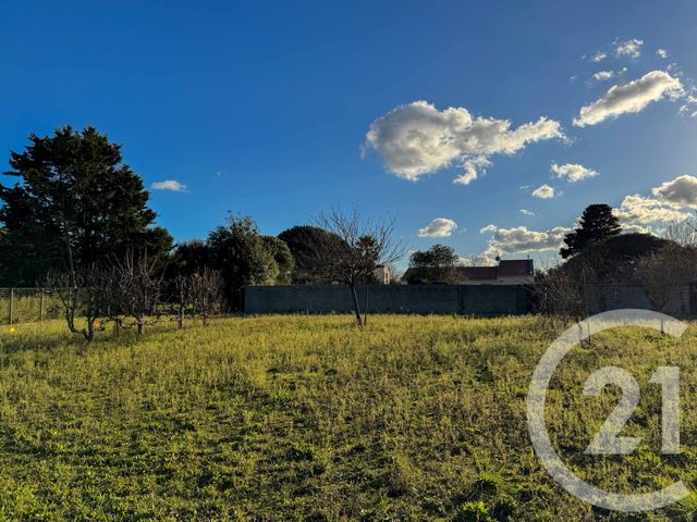 terrain - OLONNE SUR MER - 85