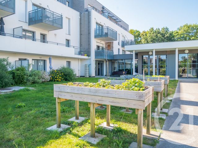 appartement - OLONNE SUR MER - 85