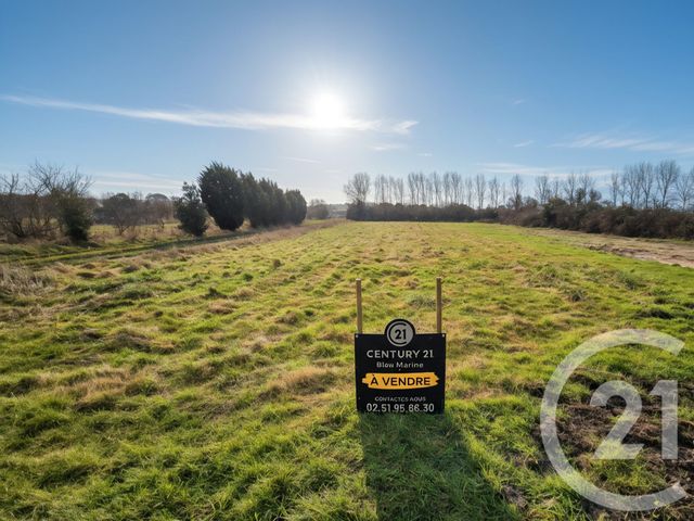 Terrain &agrave; vendre - 800 m2 - Olonne Sur Mer - 85 - PAYS-DE-LOIRE