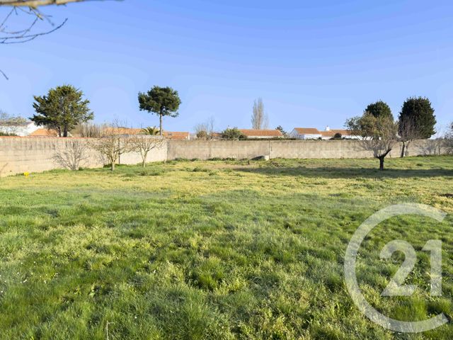terrain - CHATEAU D OLONNE - 85