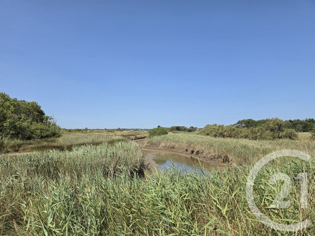 Maison &agrave; vendre - 5 pi&egrave;ces - 164 m2 - Olonne Sur Mer - 85 - PAYS-DE-LOIRE