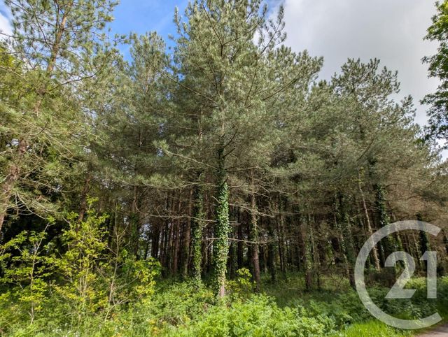 Terrain &agrave; vendre - 5000 m2 - St Urbain - 85 - PAYS-DE-LOIRE