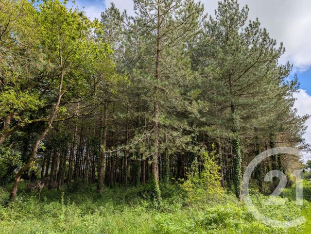 Terrain &agrave; vendre - 5000 m2 - St Urbain - 85 - PAYS-DE-LOIRE