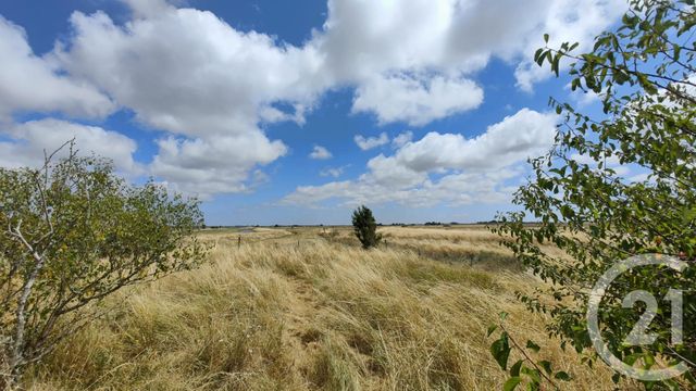 Maison à vendre - 7 pièces - 140 m2 - Beauvoir Sur Mer - 85 - PAYS-DE-LOIRE