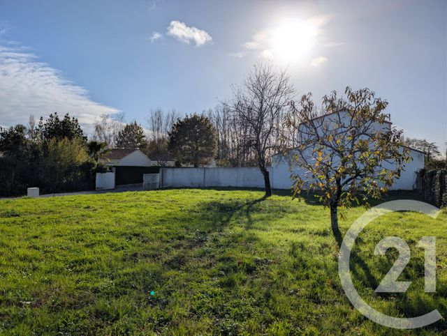 terrain - SOULLANS - 85