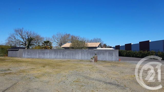 Divers &agrave; vendre - 517 m2 - Sallertaine - 85 - PAYS-DE-LOIRE