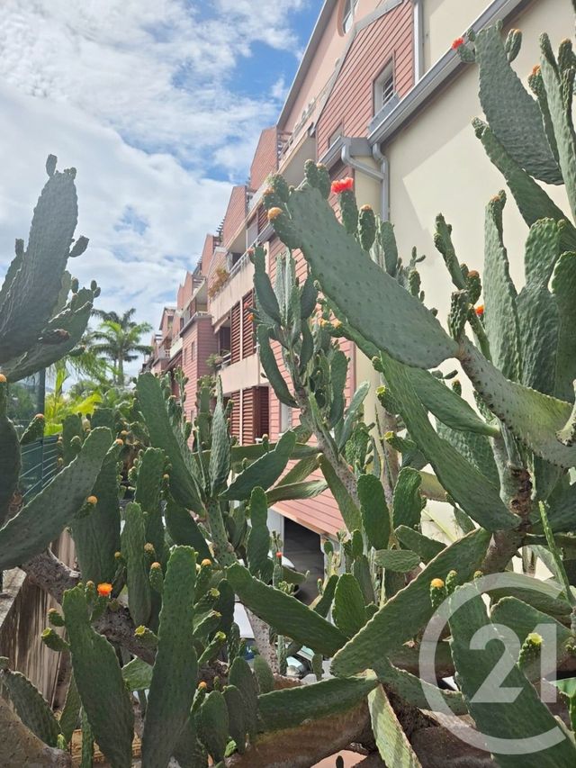 appartement - ST DENIS - 974