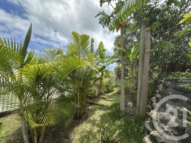 Maison &agrave; vendre - 5 pi&egrave;ces - 158 m2 - St Denis - 974 - REUNION