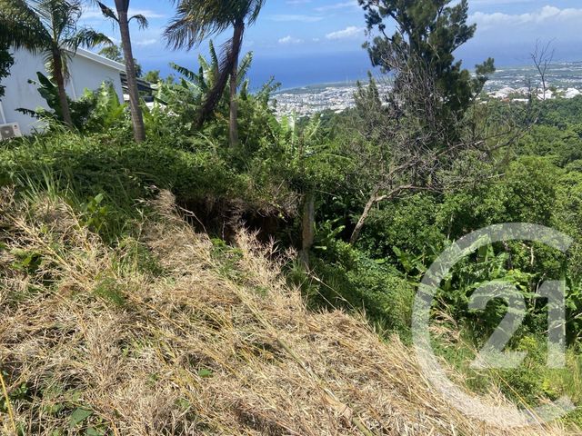 Maison &agrave; vendre - 6 pi&egrave;ces - 121 m2 - St Denis - 974 - REUNION