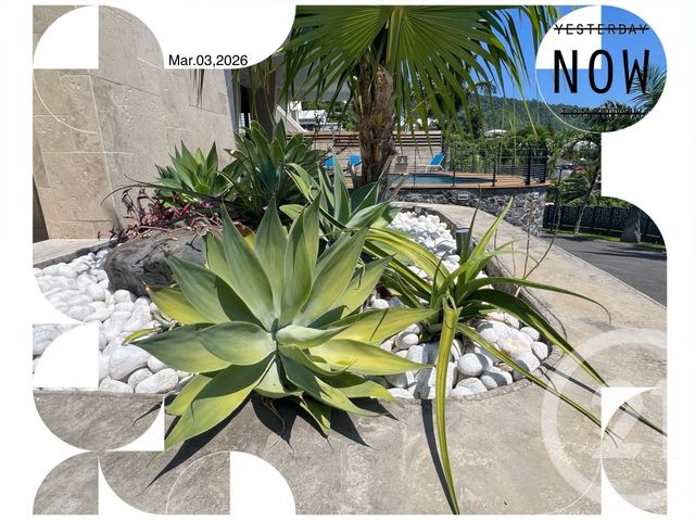 Maison &agrave; vendre - 7 pi&egrave;ces - 317,53 m2 - St Denis - 974 - REUNION