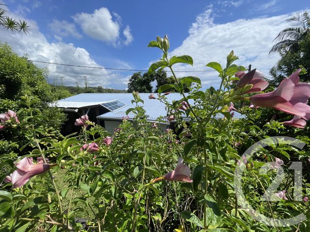 Maison &agrave; vendre - 5 pi&egrave;ces - 148 m2 - Ste Suzanne - 974 - REUNION