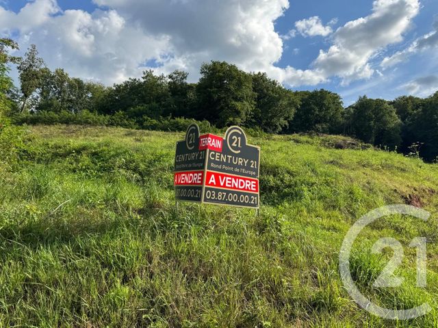 Terrain &agrave; vendre - 3974 m2 - St Avold - 57 - LORRAINE