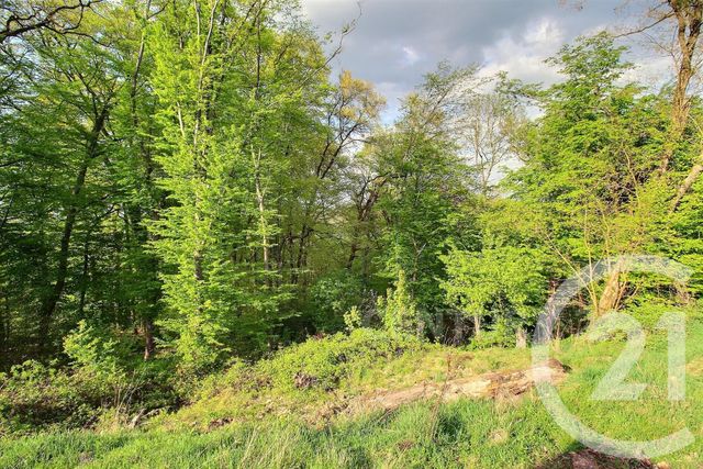 Maison &agrave; vendre - 6 pi&egrave;ces - 150 m2 - St Avold - 57 - LORRAINE