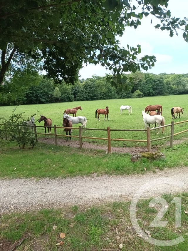 Appartement F1 à vendre - 1 pièce - 34 m2 - Crosne - 91 - ILE-DE-FRANCE