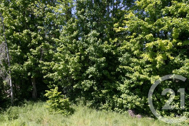 Maison à vendre - 6 pièces - 97 m2 - Montgeron - 91 - ILE-DE-FRANCE