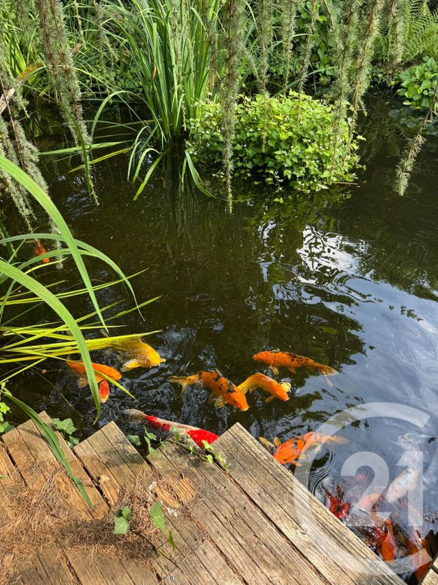 Maison &agrave; vendre - 7 pi&egrave;ces - 190 m2 - Montgeron - 91 - ILE-DE-FRANCE