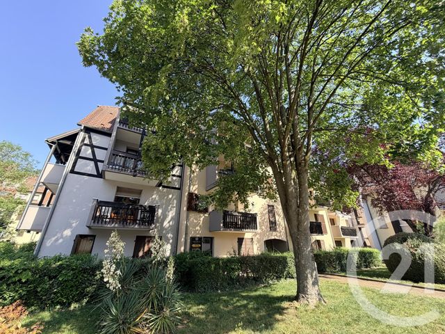 Appartement F1 &agrave; vendre - 1 pi&egrave;ce - 34,18 m2 - Lingolsheim - 67 - ALSACE